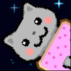 Nom Cat