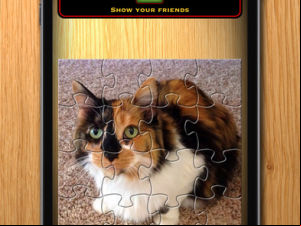 Jigsaw Puzzle screenshot