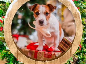 Magic Jigsaw Puzzles screenshot